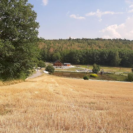 Residenz Moselstausee سانكت ديجيوند المظهر الخارجي الصورة