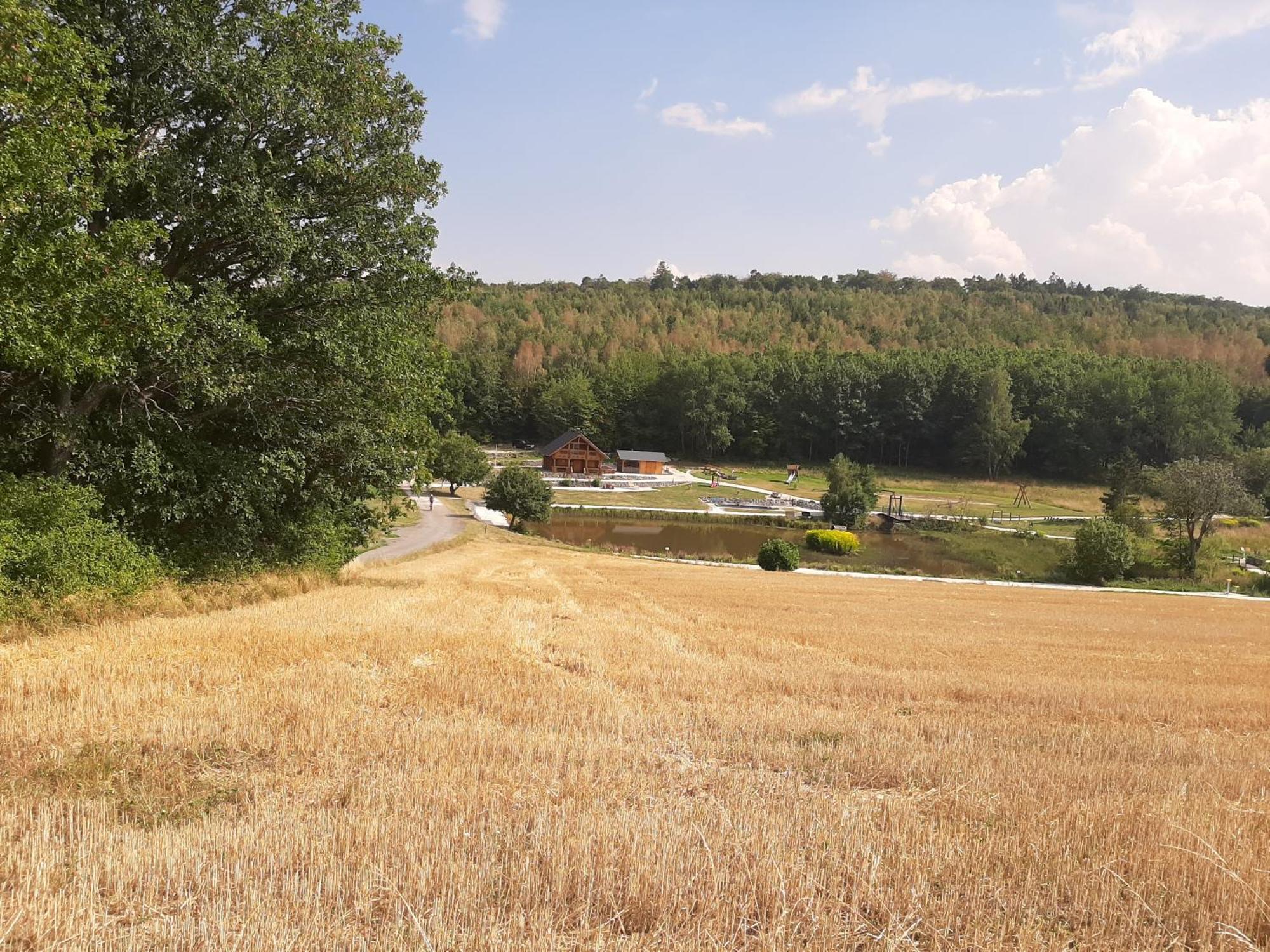 Residenz Moselstausee سانكت ديجيوند المظهر الخارجي الصورة