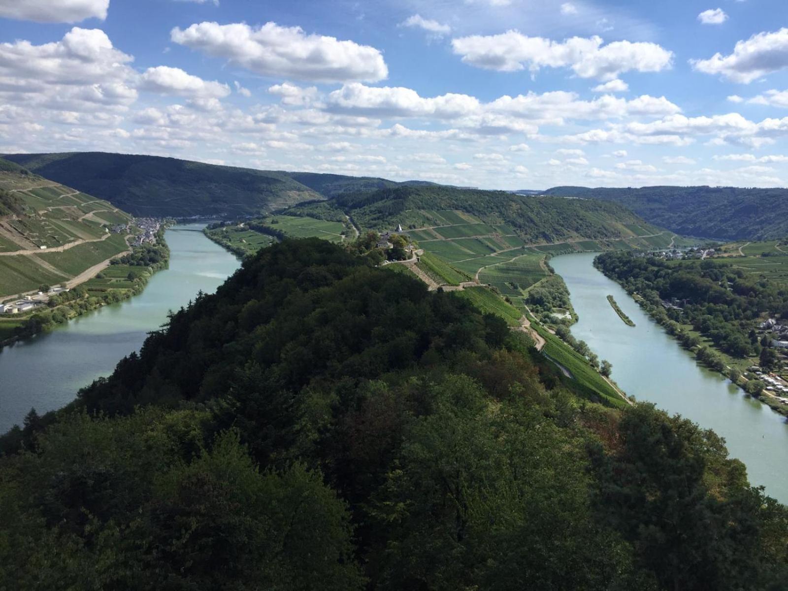 Residenz Moselstausee سانكت ديجيوند المظهر الخارجي الصورة