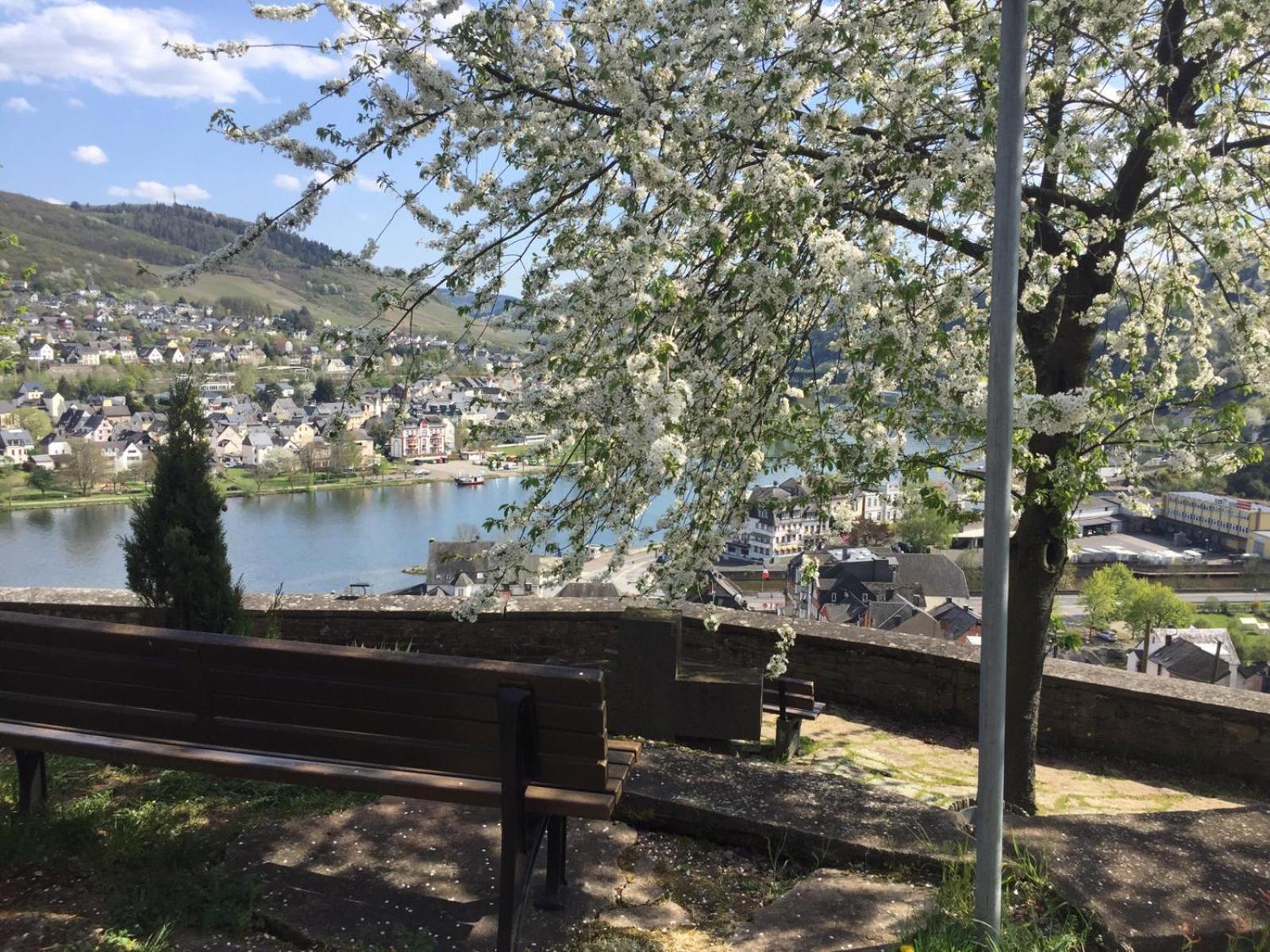 Residenz Moselstausee سانكت ديجيوند المظهر الخارجي الصورة