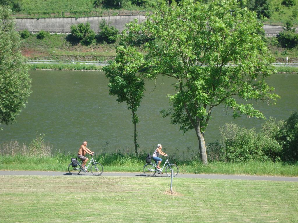 Residenz Moselstausee سانكت ديجيوند المظهر الخارجي الصورة