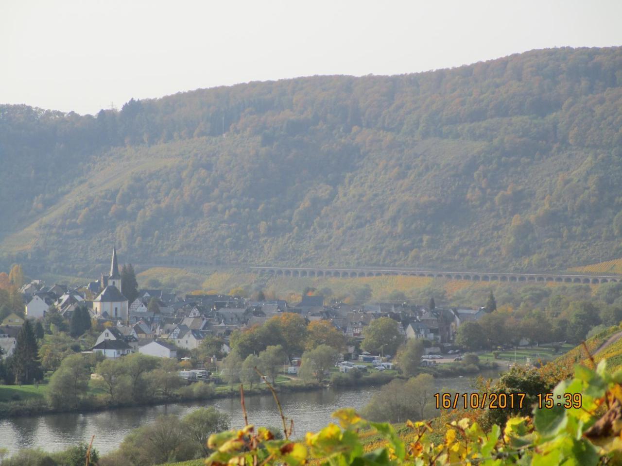 Residenz Moselstausee سانكت ديجيوند المظهر الخارجي الصورة